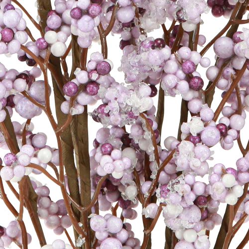 Floristik24 Berry branch Christmas branch purple white frost L60cm 2 pcs