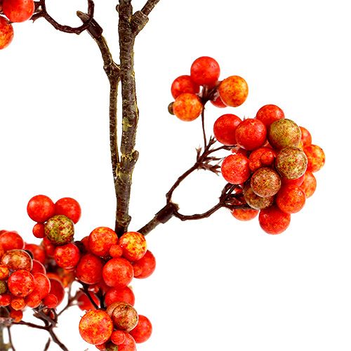 Floristik24 Berry branch orange L50cm 4pcs