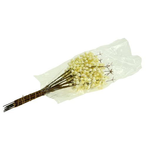 Product Berry branch cream L30cm 12pcs
