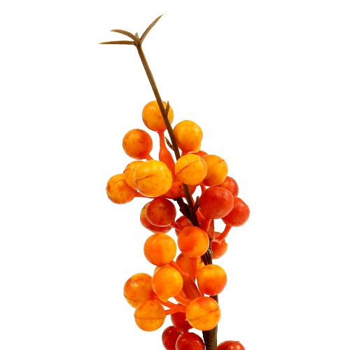 Floristik24 Berry branch orange L 30cm 12pcs