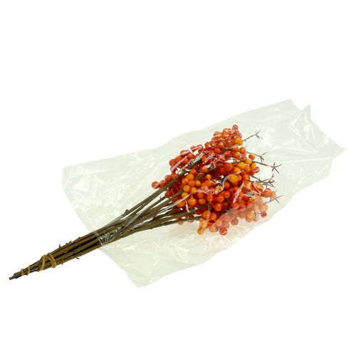 Floristik24 Berry branch orange L 30cm 12pcs