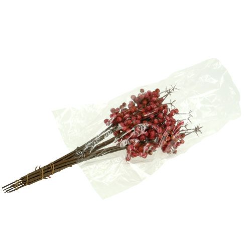 Floristik24 Berry branch pink L 28cm 12pcs