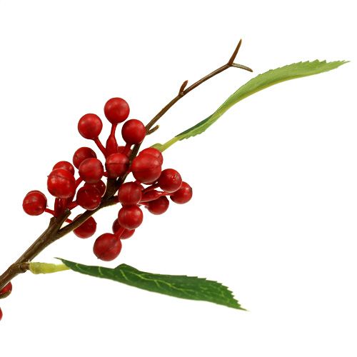 Floristik24 Berry branch red 63cm 4pcs