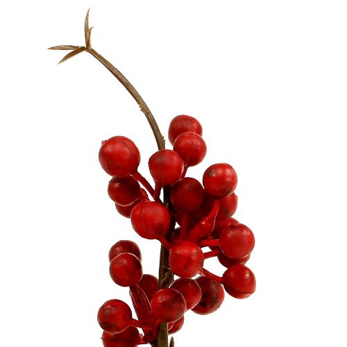 Product Berry branch red L30cm 12pcs