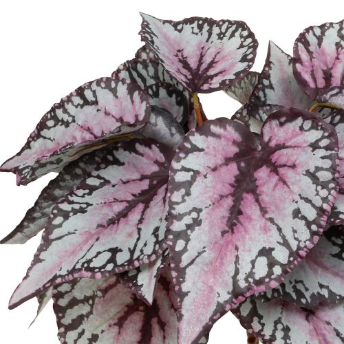 Floristik24 Artificial begonia bush Bordeaux 37cm