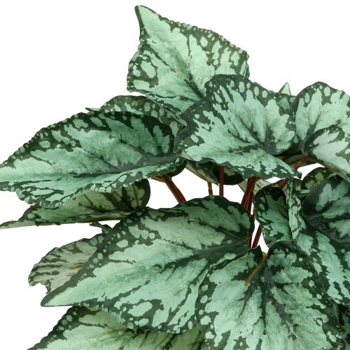 Floristik24 Artificial begonia bush artificial plant green 34cm