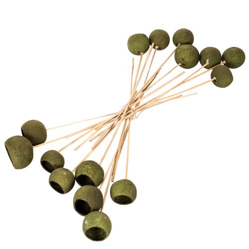 Bell Cup on a stem, green, dried exotic flowers, 5cm, 15 pieces | Floristik24.ie