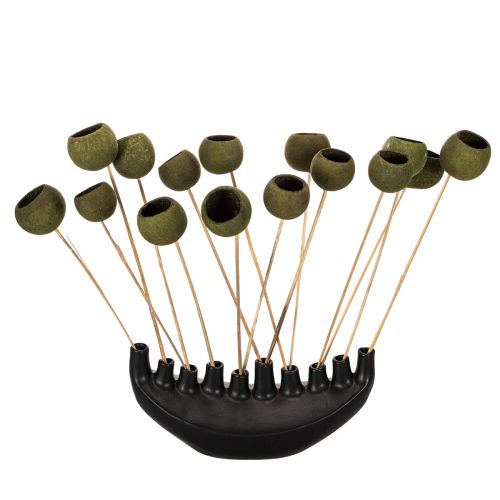 Bell Cup on a stem, green, dried exotic flowers, 5cm, 15 pieces | Floristik24.ie