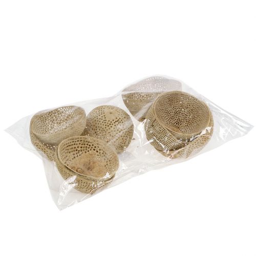 Product Dried Fruits Bell Cup Natural Mourning Decoration 8.5-11cm 10 Pcs