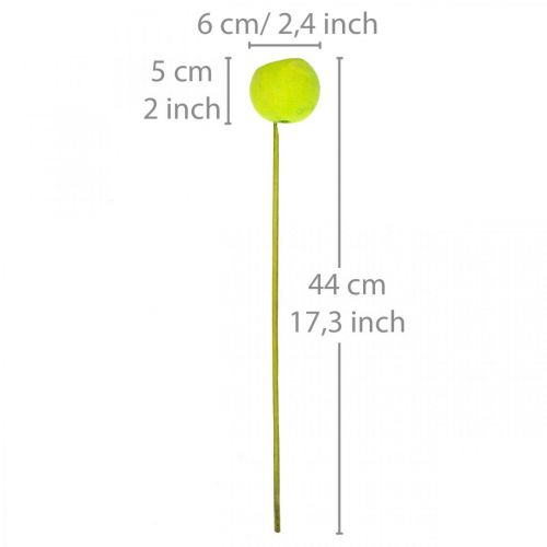 Product Bell Cup on a Stick Green Dried Exotics 15 Pcs