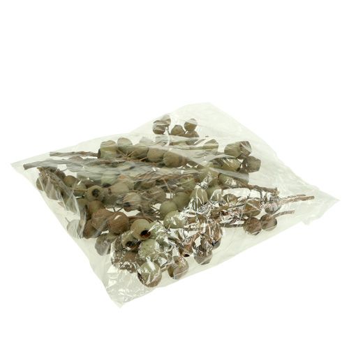 Product Bellgum branch 4 - 14 heads 20 pcs