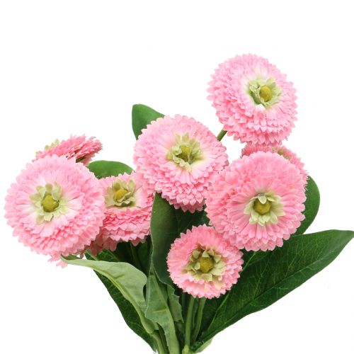 Floristik24 Bellisbund pink 24cm 2pcs
