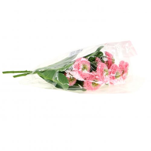 Floristik24 Bellisbund pink 24cm 2pcs