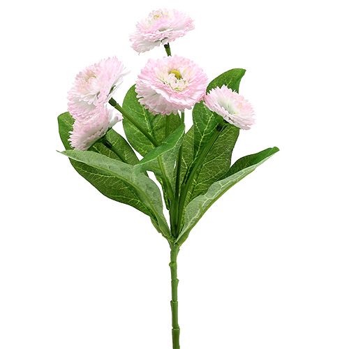 Floristik24 Bellispick pink L 24cm