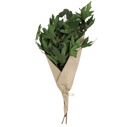 Product Sycamore branches leaves decoration maple leaves green 50-60cm 100g