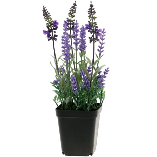 Floristik24 Artificial lavender in a pot H25cm