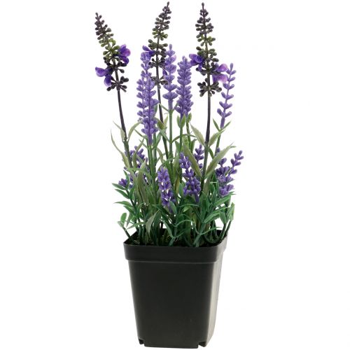 Floristik24.ie Artificial lavender in a pot H25cm