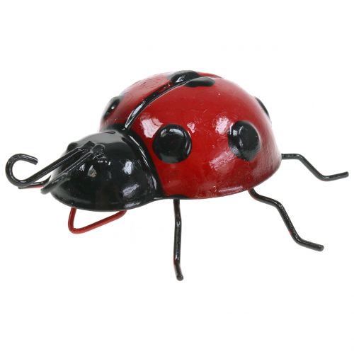 Ladybug 10cm-846519-ROT