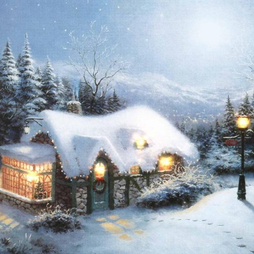 Floristik24 LED mural winter landscape with house 38×28cm For battery