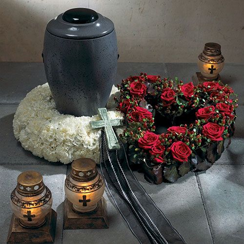 Product OASIS® Biolit® ring/wreath 17cm 6 pcs