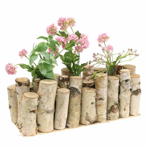 Floristik24 Birch jar with test tubes natural 32cm