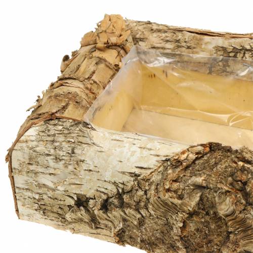 Floristik24 Birch planter 30cm x 20cm H8cm