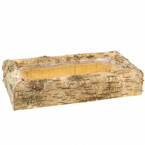 Floristik24 Birch planter 40cm x 20cm H8.5cm