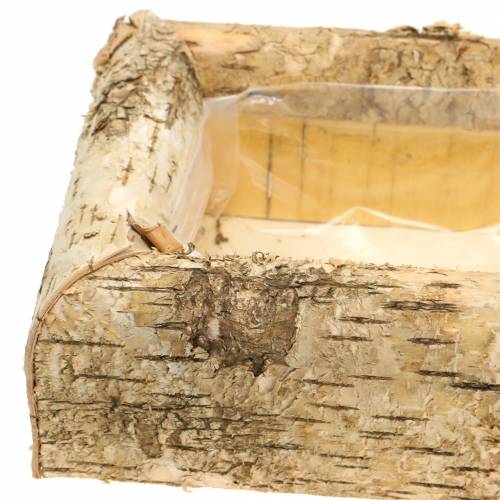 Floristik24 Birch planter 40cm x 20cm H8.5cm