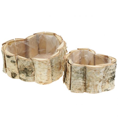 Floristik24 Planter birch heart 2pcs
