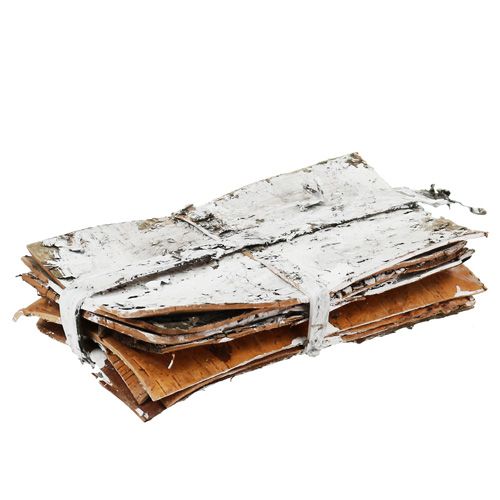 Floristik24 Bark slices 20cm x 12cm white, washed 8 pcs