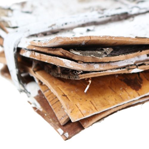 Floristik24 Bark slices 20cm x 12cm white, washed 8 pcs