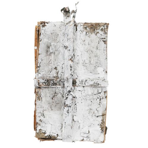 Floristik24 Bark slices 20cm x 12cm white, washed 8 pcs