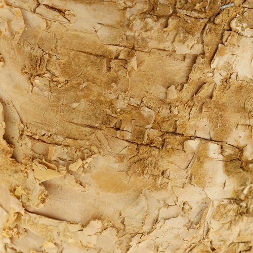 Product Planter round natural decoration bark birch pot Ø12cm H10cm 5pcs