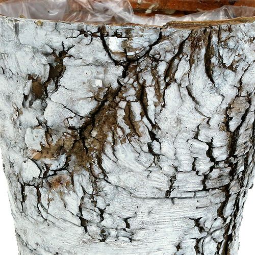 Product Birch pot small planter birch white Ø10cm H8.5cm 6 pcs
