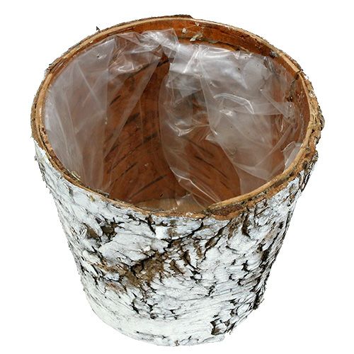 Product Birch pot small planter birch white Ø10cm H8.5cm 6 pcs