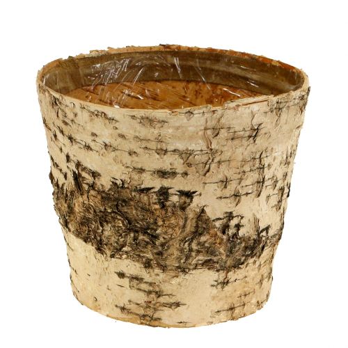 Product Birch pot Ø15cm H13cm