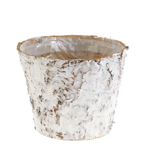 Product Pot with white birch Ø15cm H12.5cm