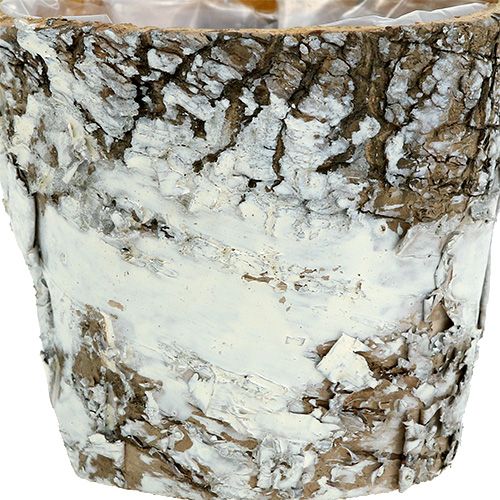 Floristik24 Birch pot mini white plant pot Ø7cm H7cm 10pcs
