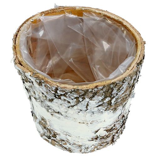 Floristik24 Birch pot mini white plant pot Ø7cm H7cm 10pcs