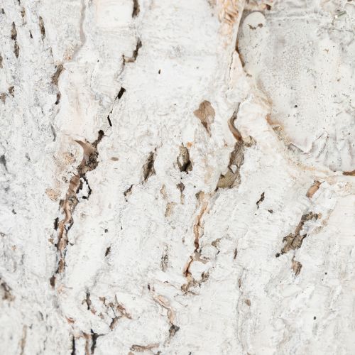 Product Bark-look plant pot, ideal for rustic interior design and plant decoration, 12cm, 4 pieces