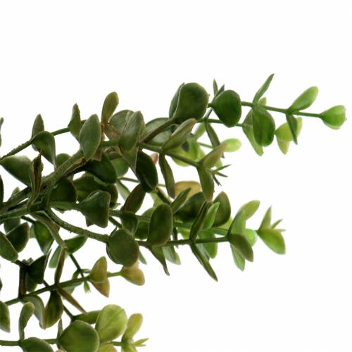 Floristik24 Boxwood decorative branch green 40cm