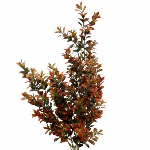 Boxwood decorative branch autumnal 50cm