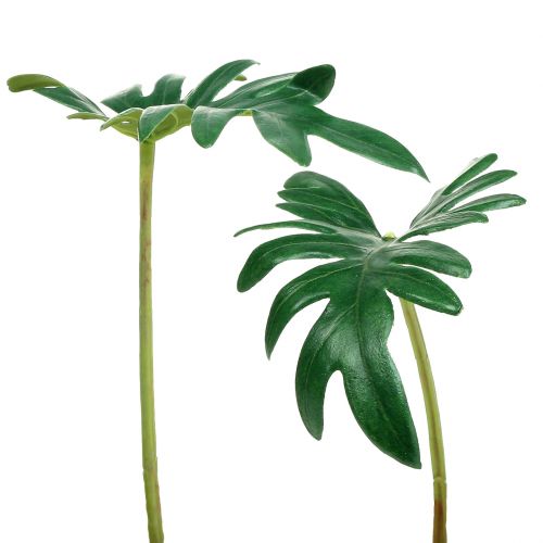 Product Leaf Philodendron 31cm Green 12 pcs