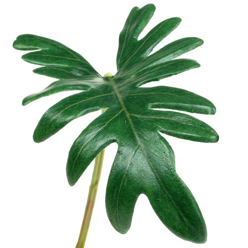 Floristik24 Leaf Philodendron 31cm Green 12 pcs