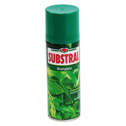 Floristik24 Leaf gloss 200ml