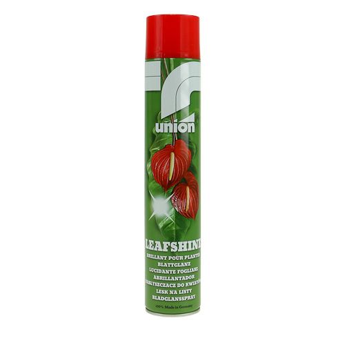 Floristik24 Leaf gloss spray 400ml