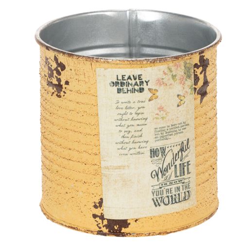 Floristik24 Tin can decorative can Apricot metal plant pot Ø11cm H10.5cm
