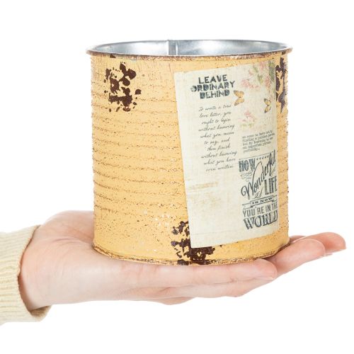 Tin can decorative can Apricot metal plant pot Ø11cm H10.5cm | Floristik24.ie