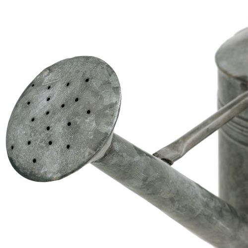 Floristik24 Tin watering can gray 23.5cm x 17.5cm H19cm
