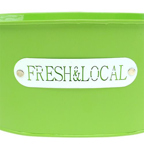 Floristik24 Tin bowl oval green 22cm x 15cm H10cm